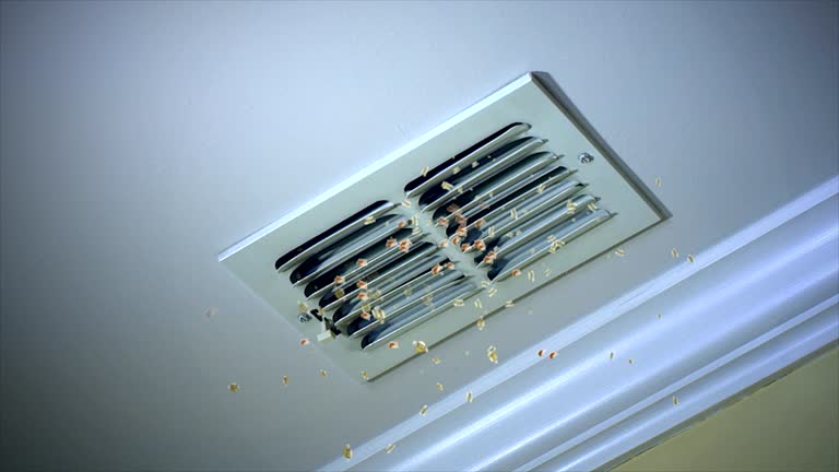 Home Air Vent Cleaning in Scotland Neck, NC