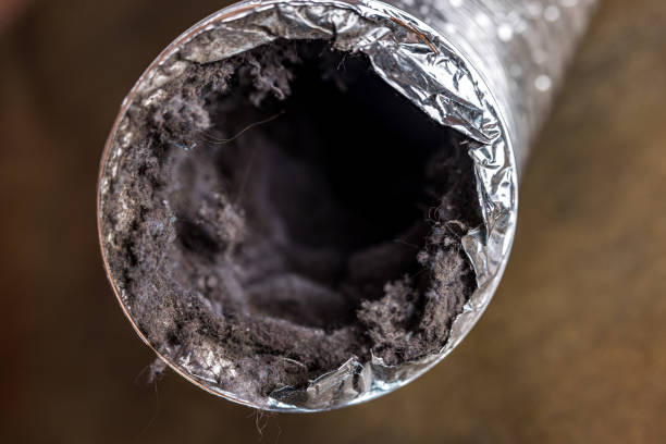 Best Residential Air Duct Cleaning  in Scotland Neck, NC