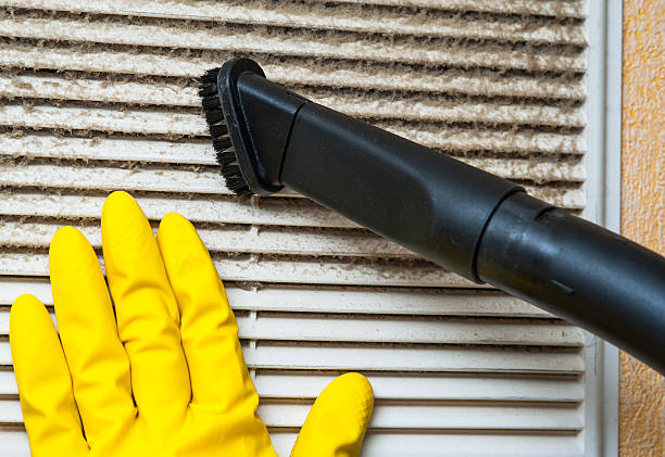 Best Professional Duct Cleaning Services  in Scotland Neck, NC